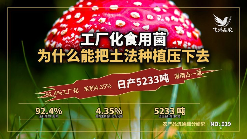 工厂化食用菌，为什么能把土法种植压下去