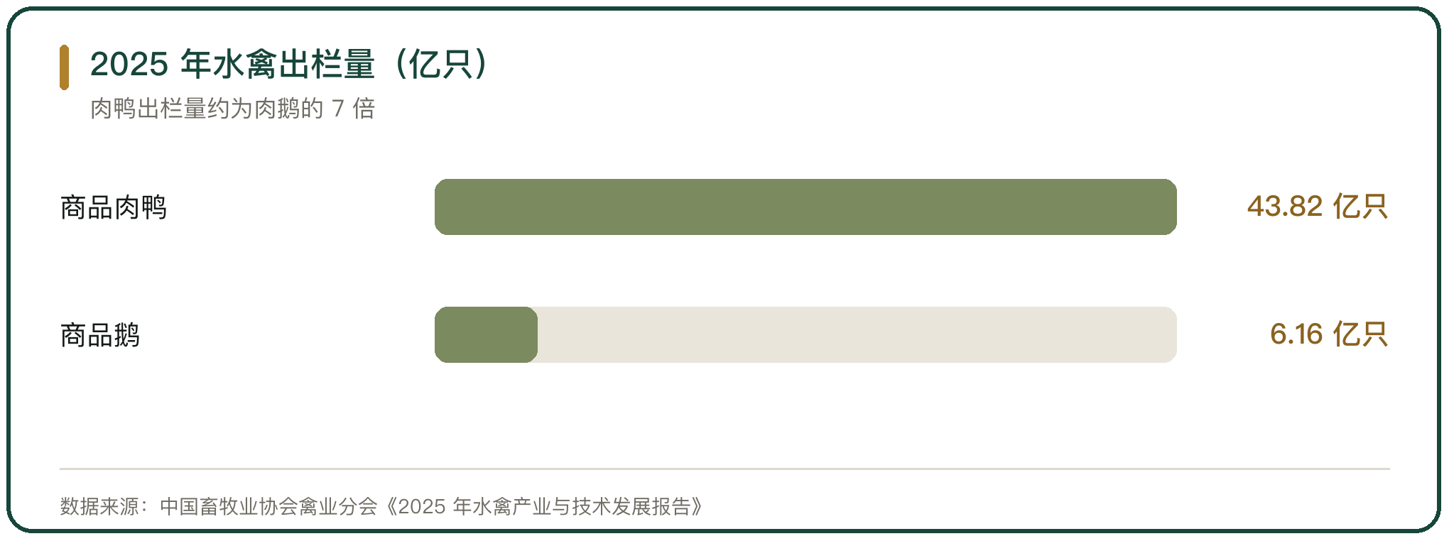 2025 年水禽出栏量（亿只）