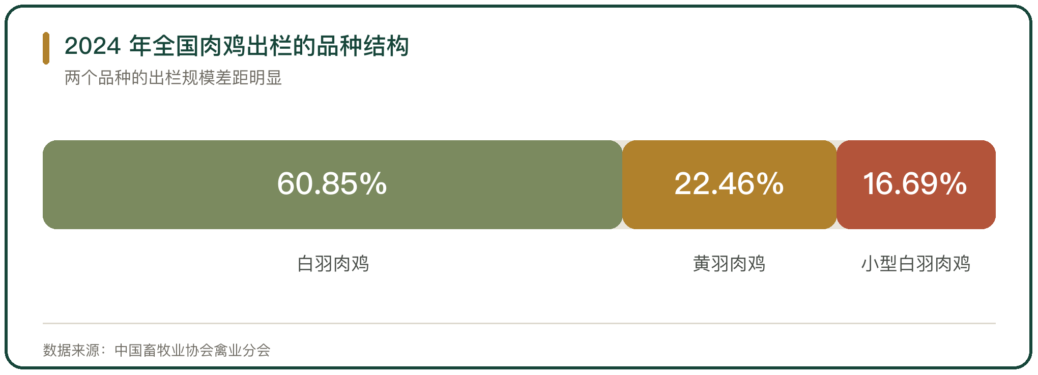 2024 年全国肉鸡出栏的品种结构