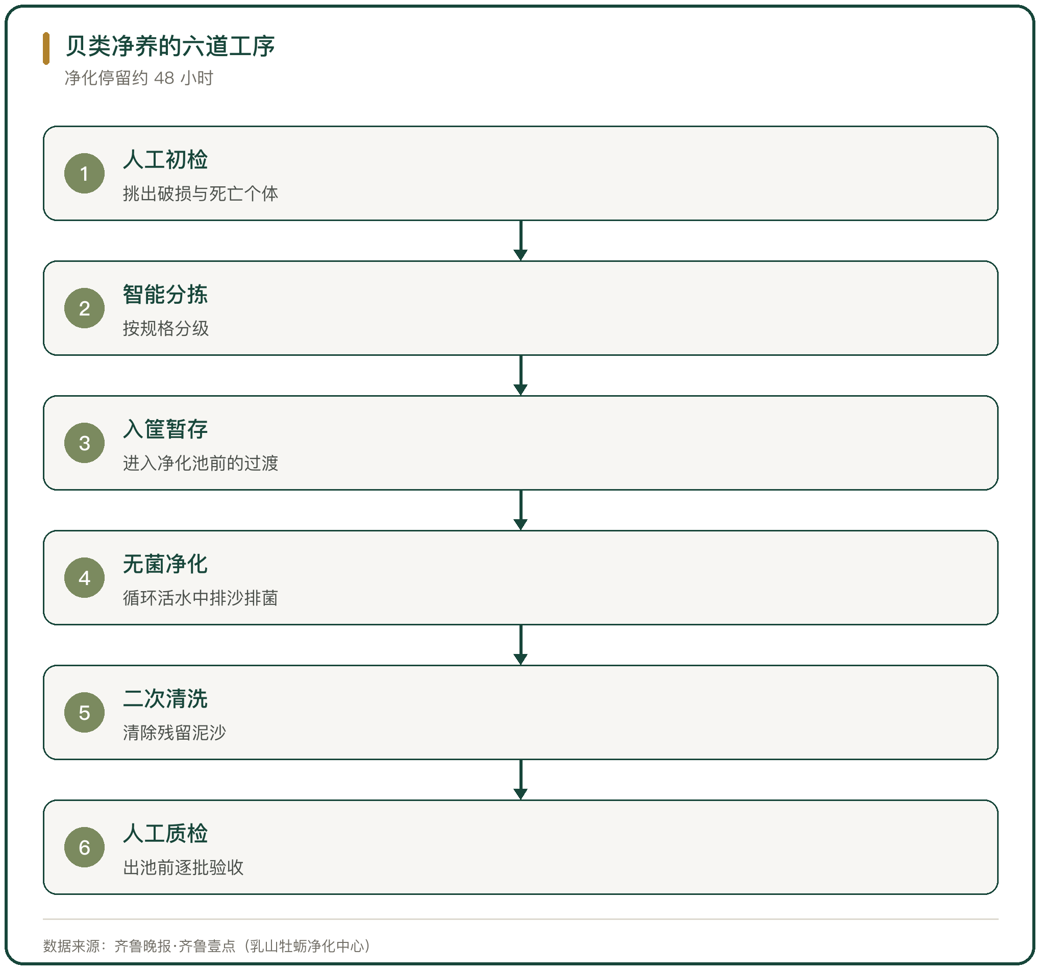 贝类净养的六道工序