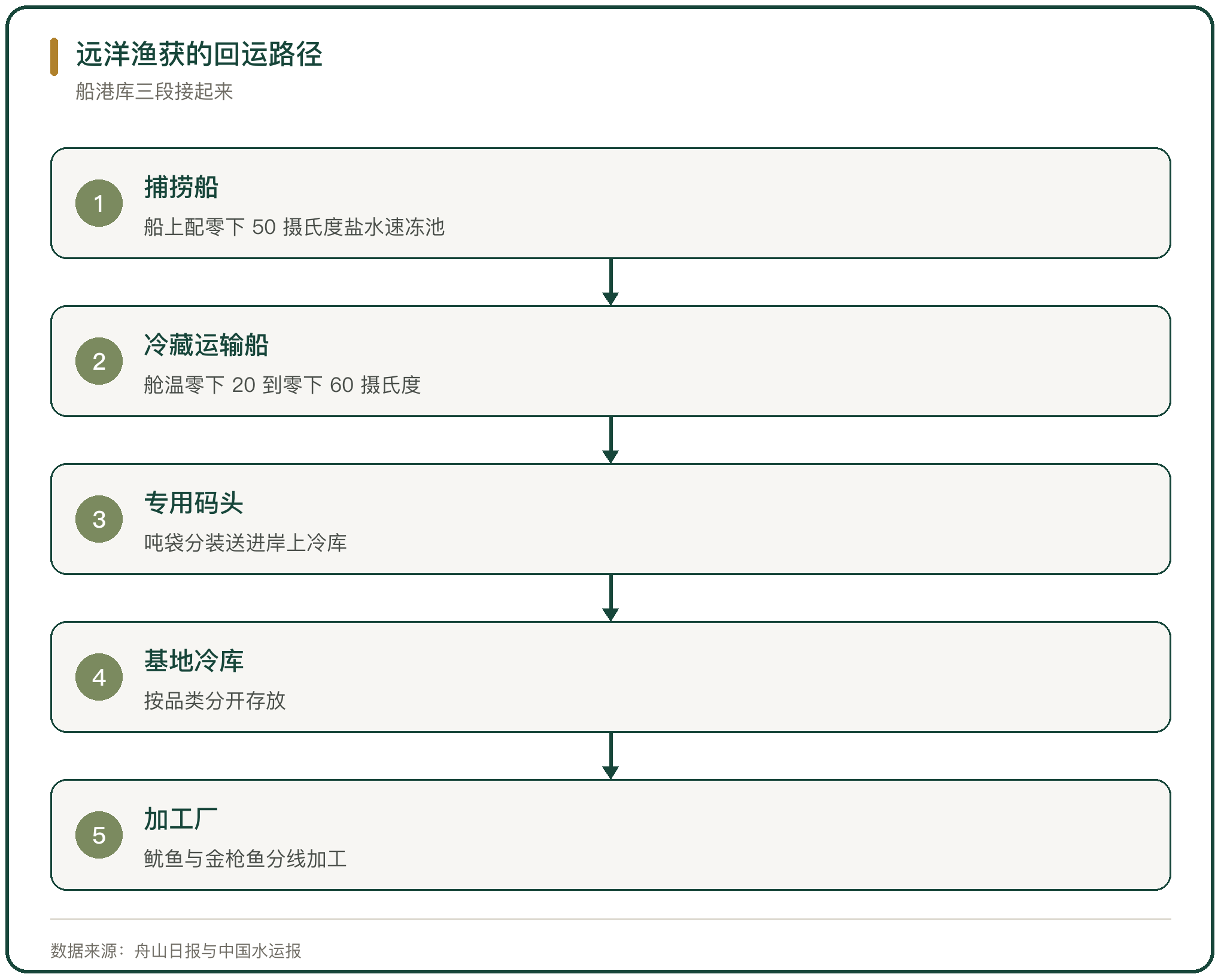 远洋渔获的回运路径