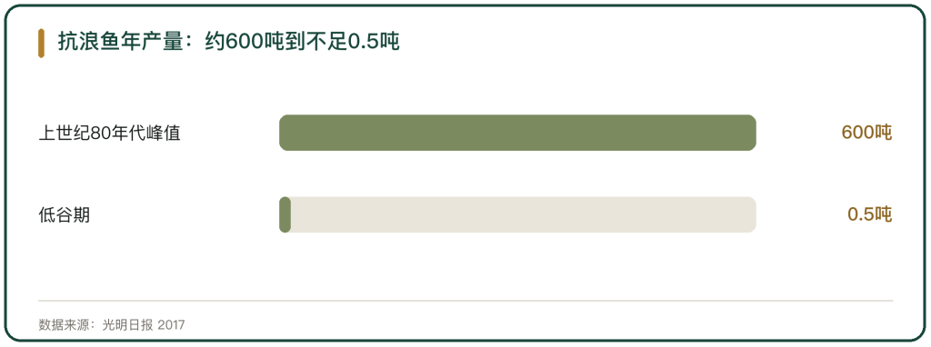 图 1 抗浪鱼年产量由约600吨跌至不足0.5吨