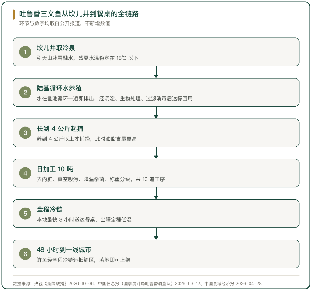 图 2 吐鲁番三文鱼从坎儿井到餐桌的全链路