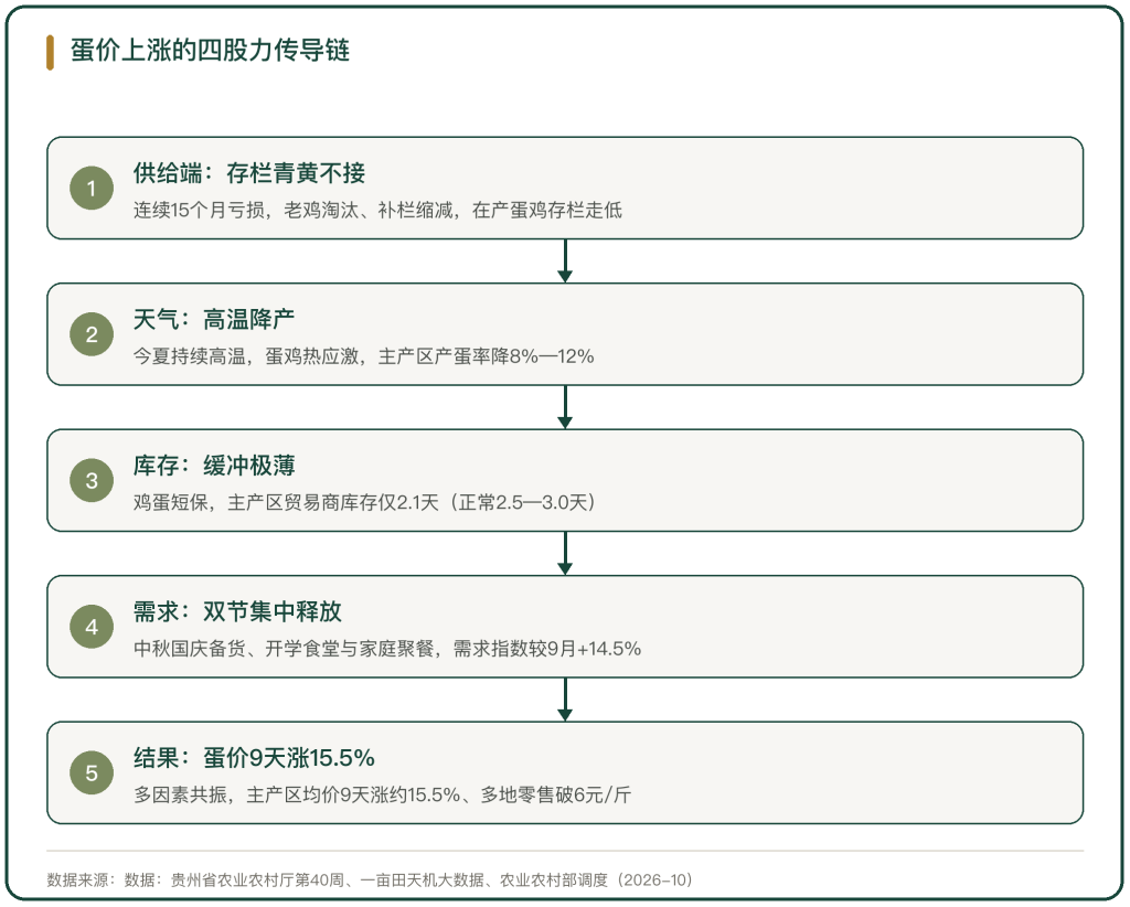 图 1 蛋价上涨的四股力传导链