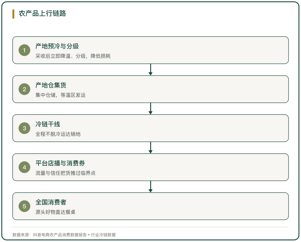图 2 农产品上行链路