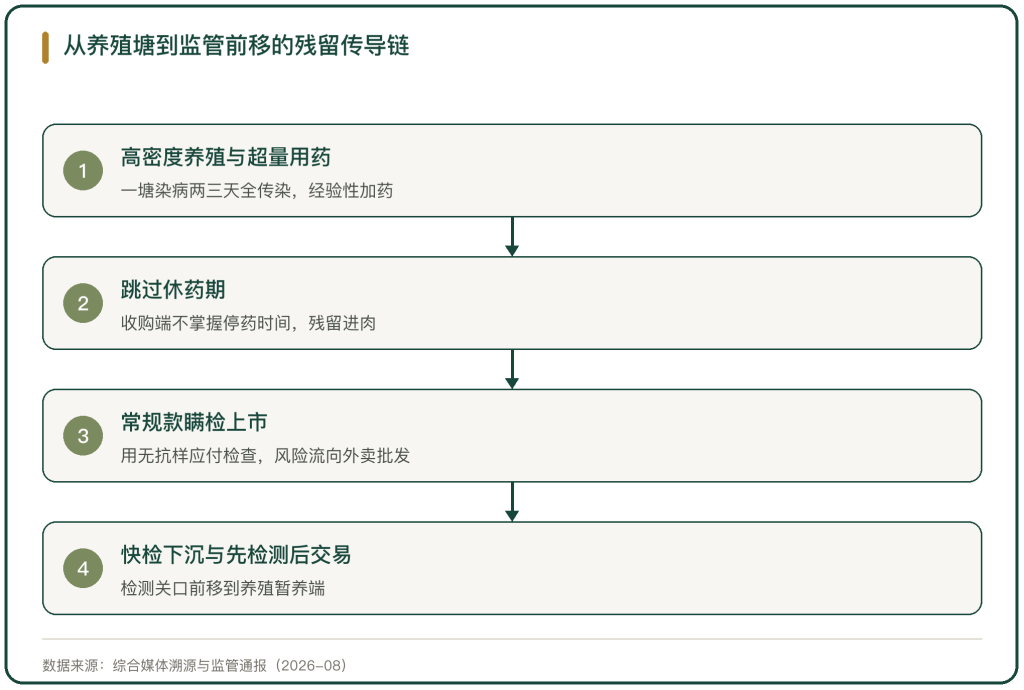 图 2 从养殖塘到监管前移的残留传导链