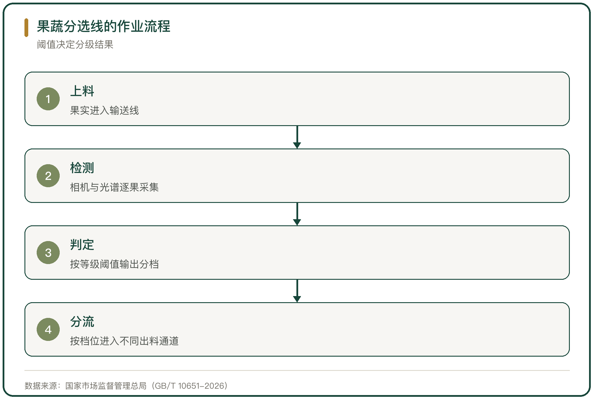 果蔬分选线的作业流程