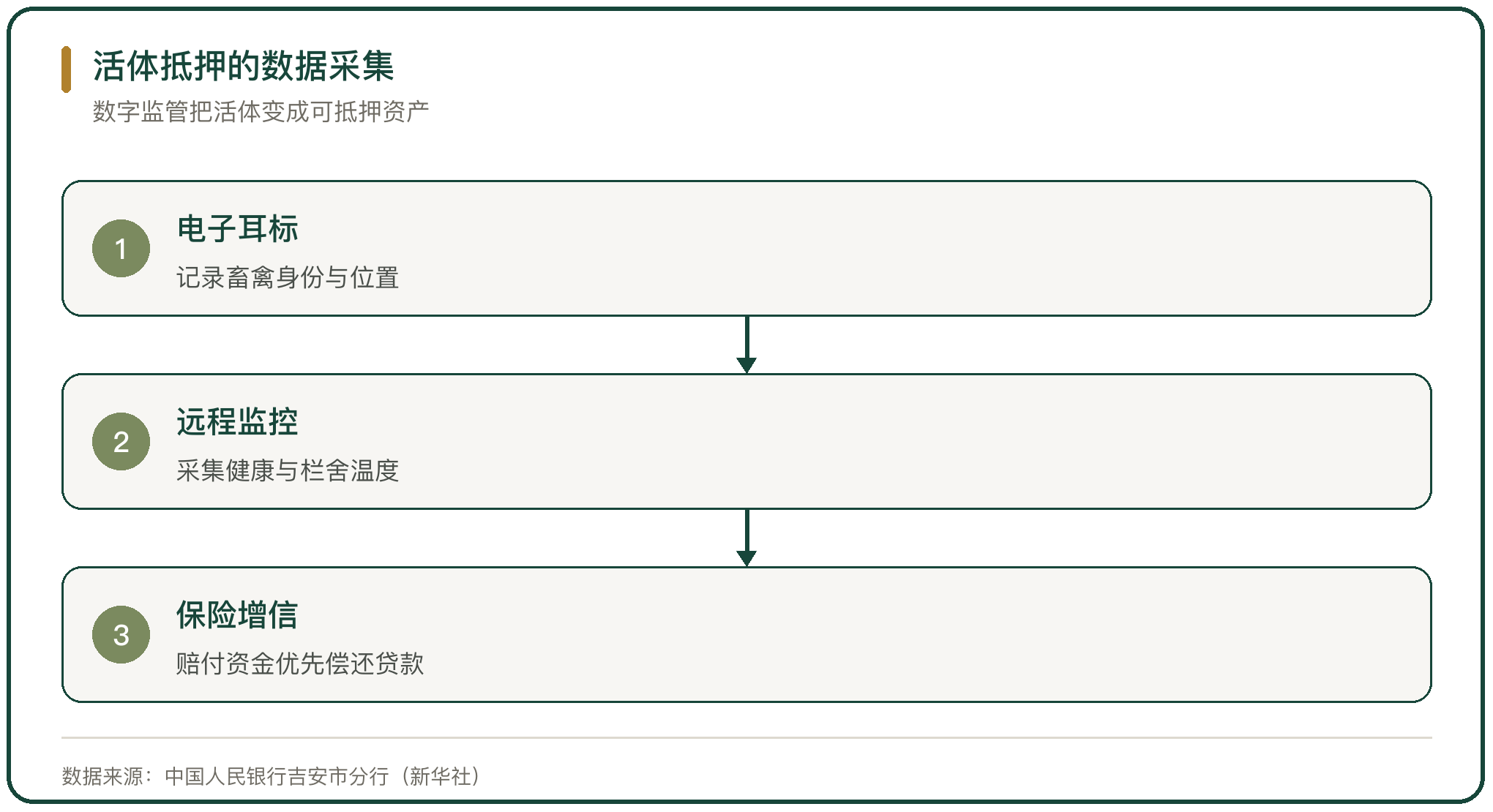 活体抵押的数据采集