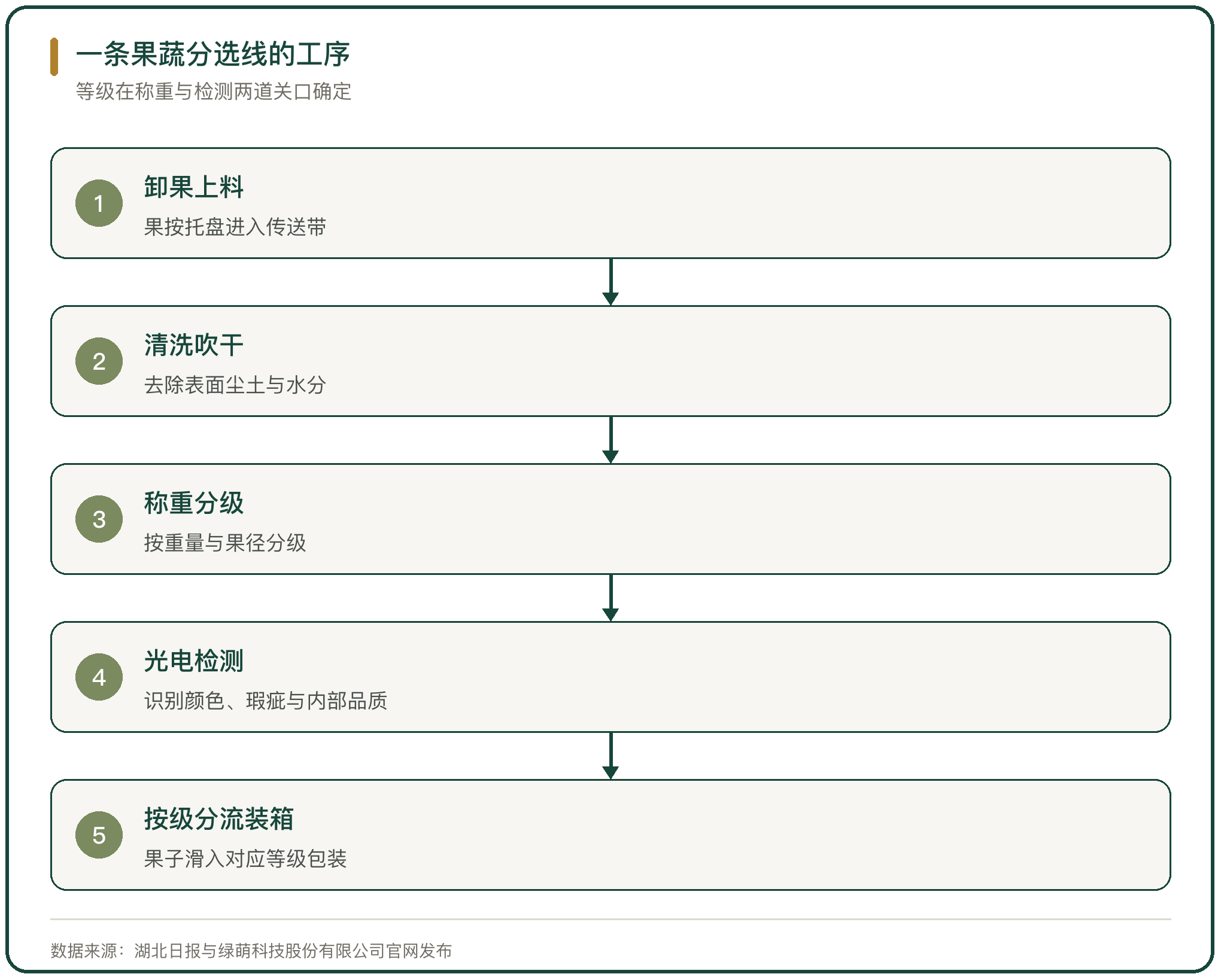 一条果蔬分选线的工序
