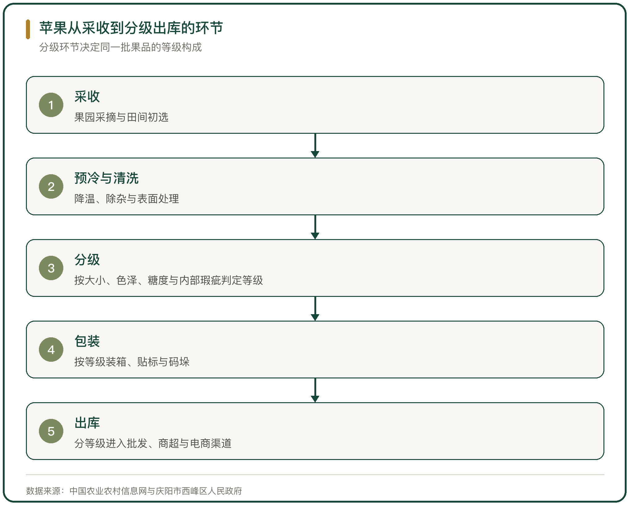 苹果从采收到分级出库的环节