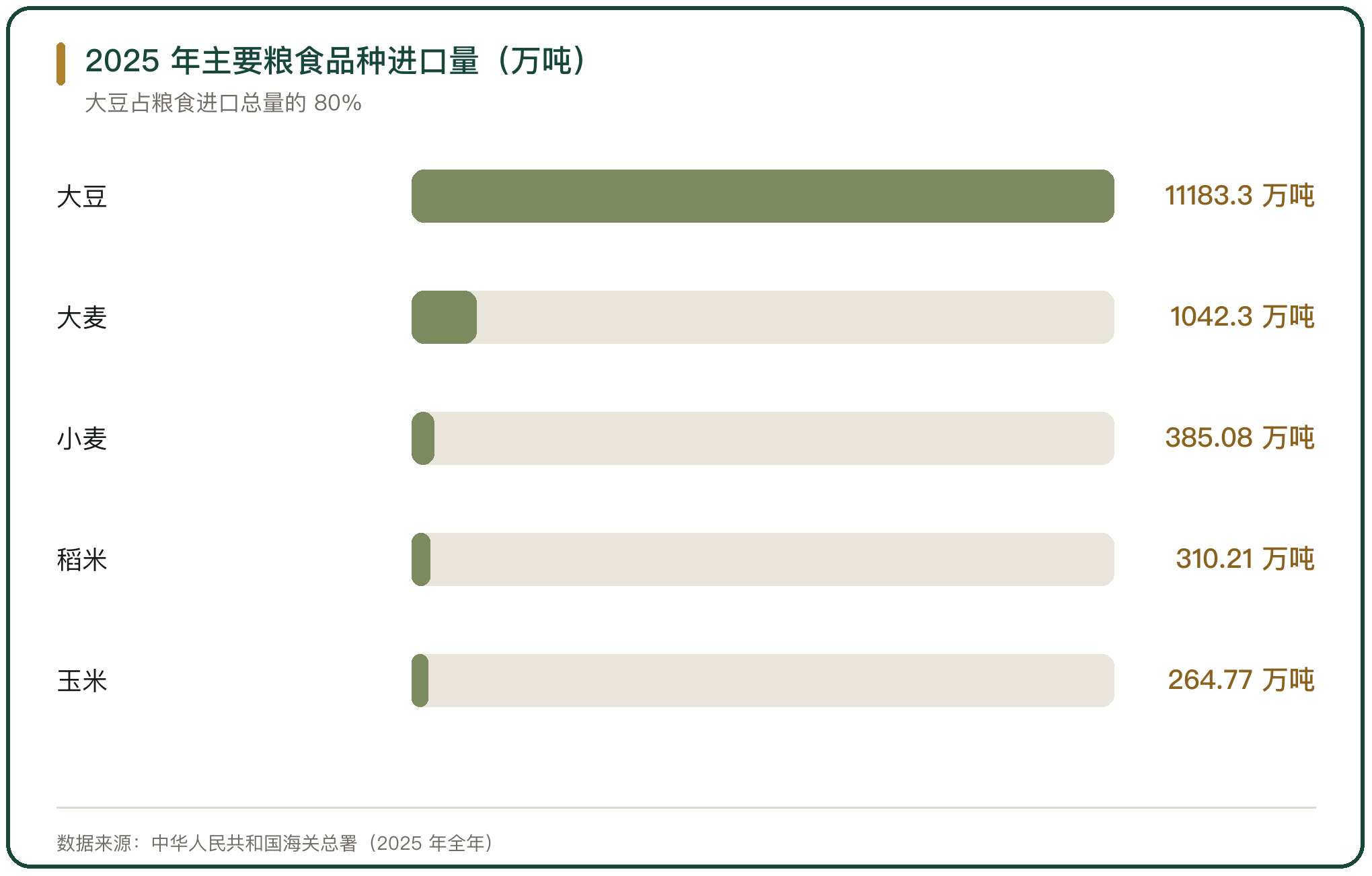 2025 年主要粮食品种进口量（万吨）