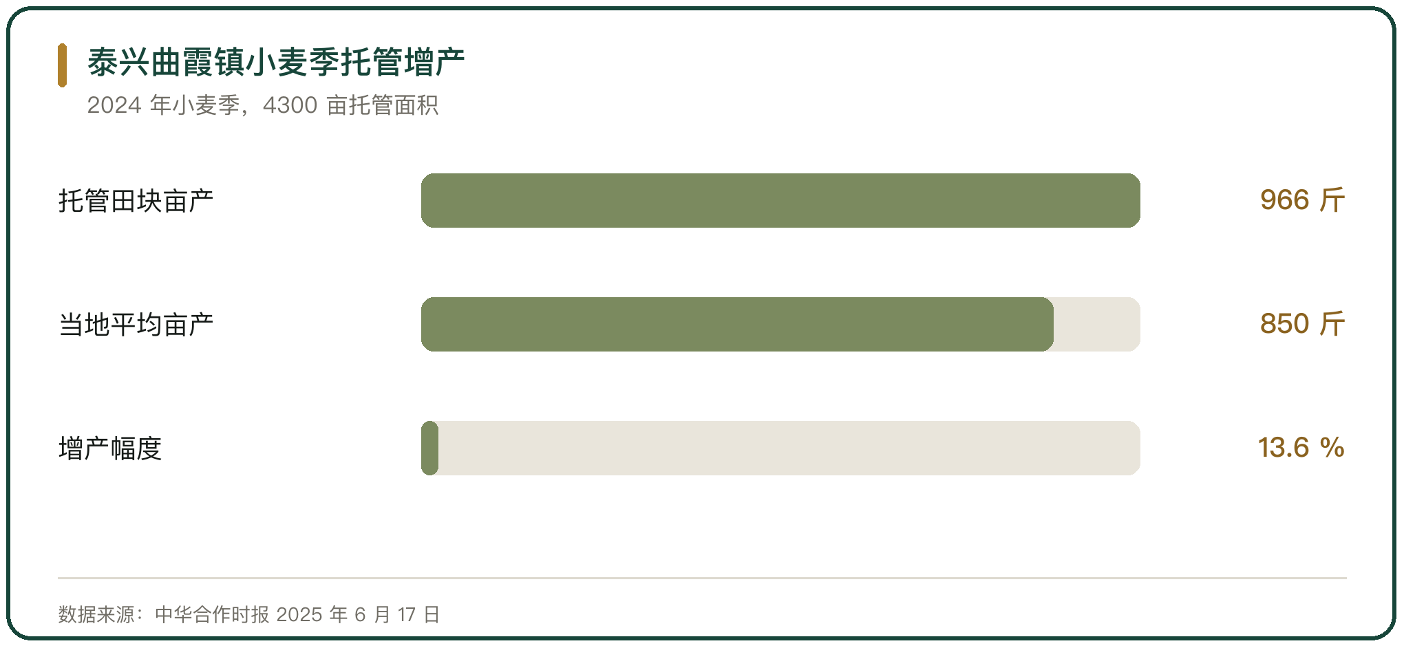 泰兴曲霞镇小麦季托管增产