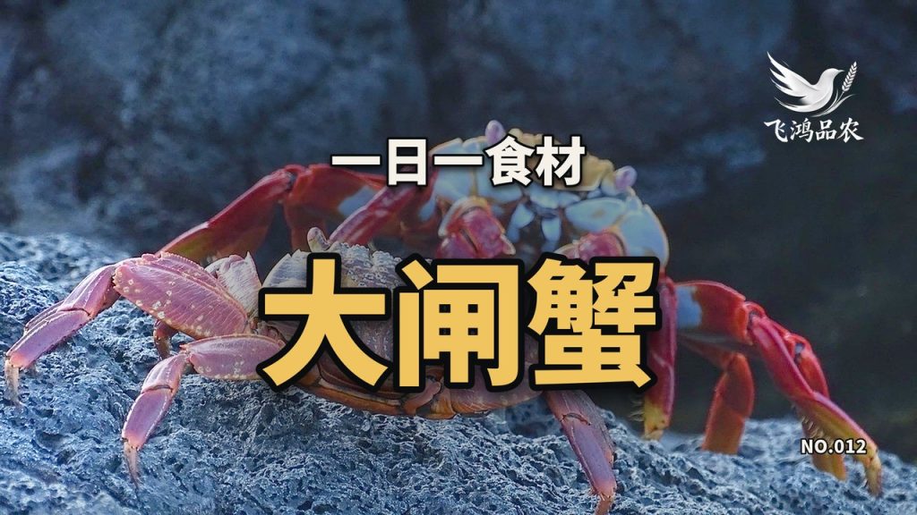 一个平台 30 家店卖出去的蟹券,抵得上整个阳澄湖的蟹