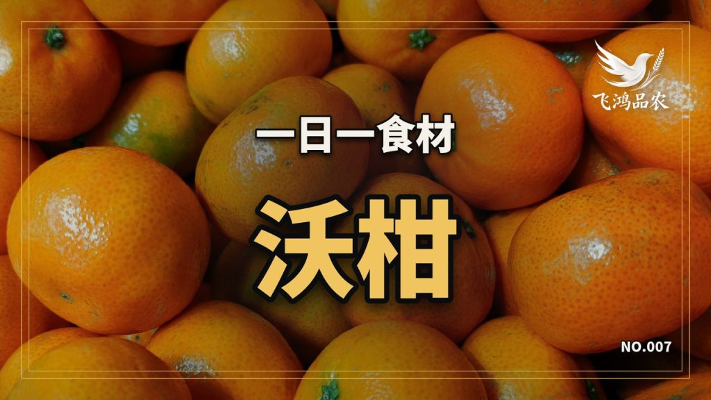 武鸣沃柑十四年从八百亩种到四十六万亩,地头价从十块跌到一块四