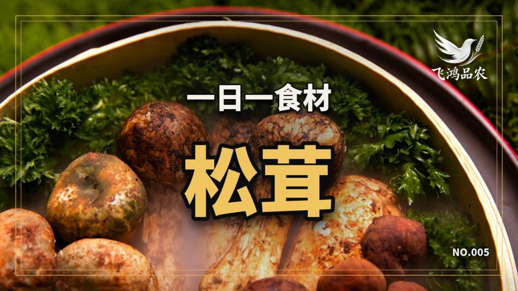 同一朵松茸,国内按国标分三级,出口日本按另一套规程分六级