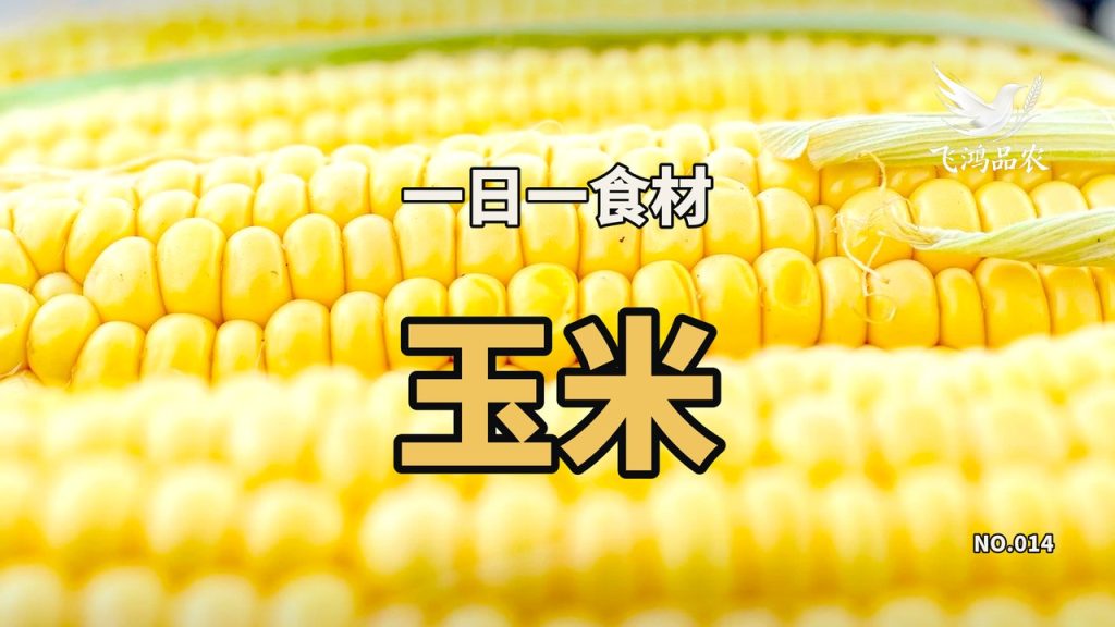 饲料一年要 2 亿吨，深加工一年要 8500 万吨，同一车玉米谁抢得走