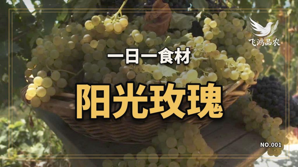 零售价从 300 元一斤掉到 5 元以下,阳光玫瑰这十年钱被谁赚走了