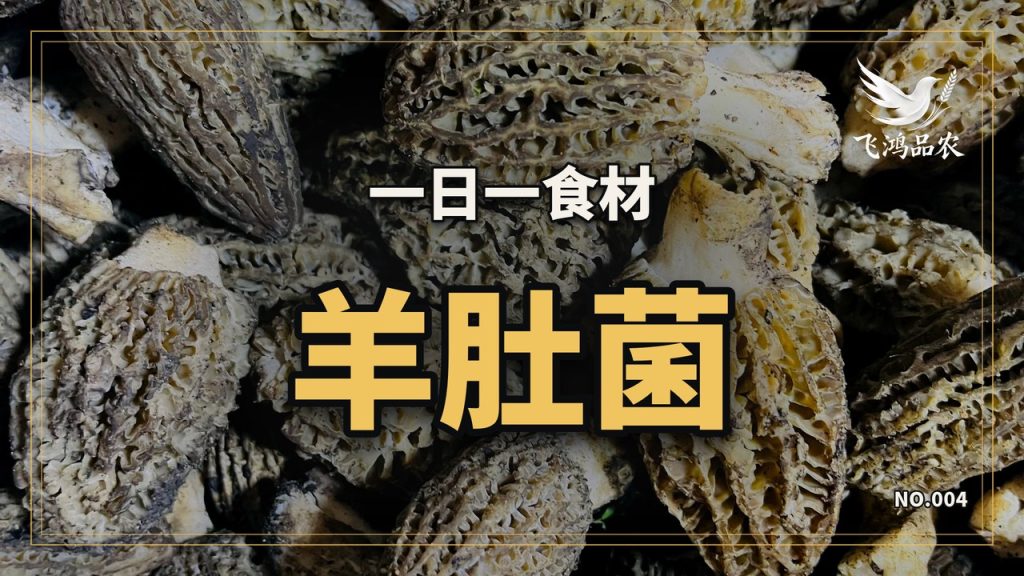春节前五十块一斤的羊肚菌，三月掉到二十五块，可这一年全国种它的地还少了一成四